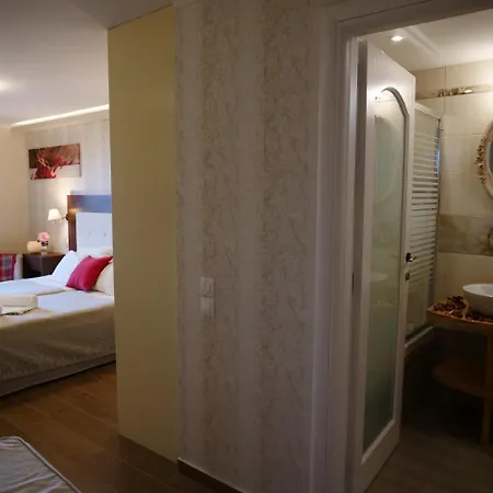 Hébergement de vacances Artemis *