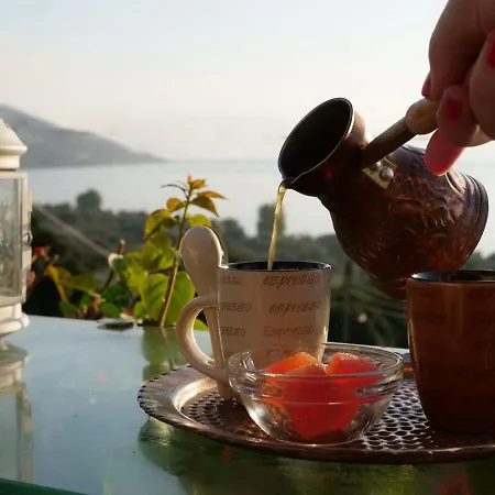 Artemis Semesterbostad *